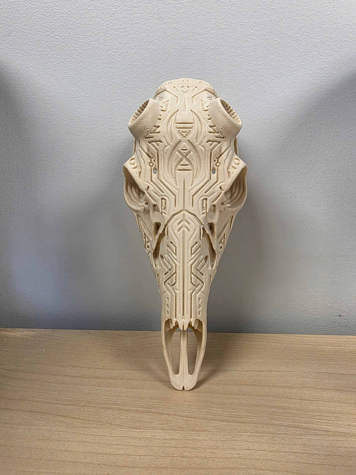 Infinite European Skull