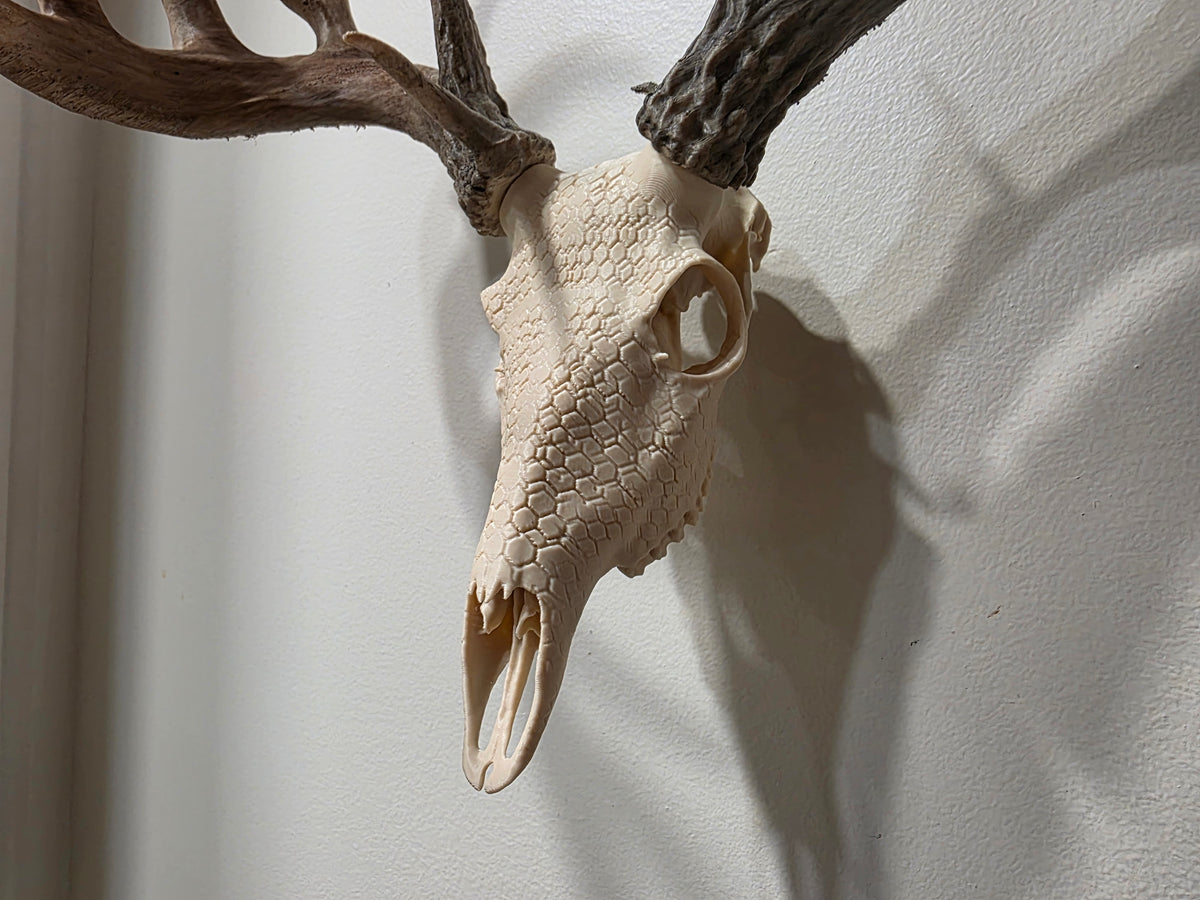 Hex European Skull