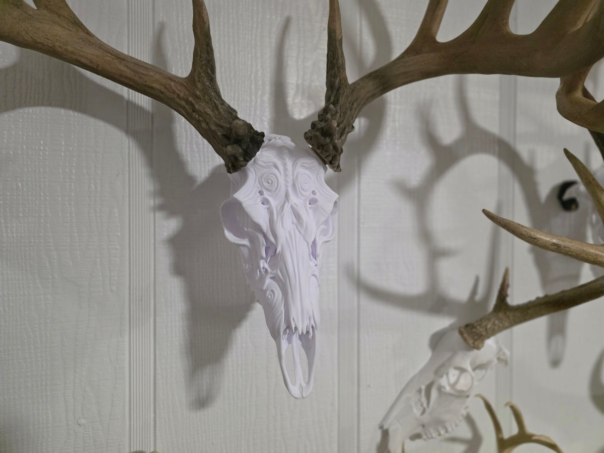 Sacred Stag of Aulis European Skull