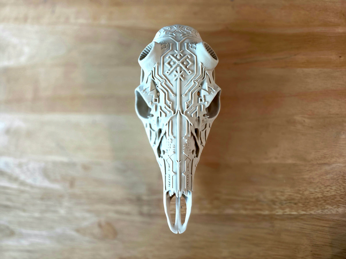 Circuit European Skull
