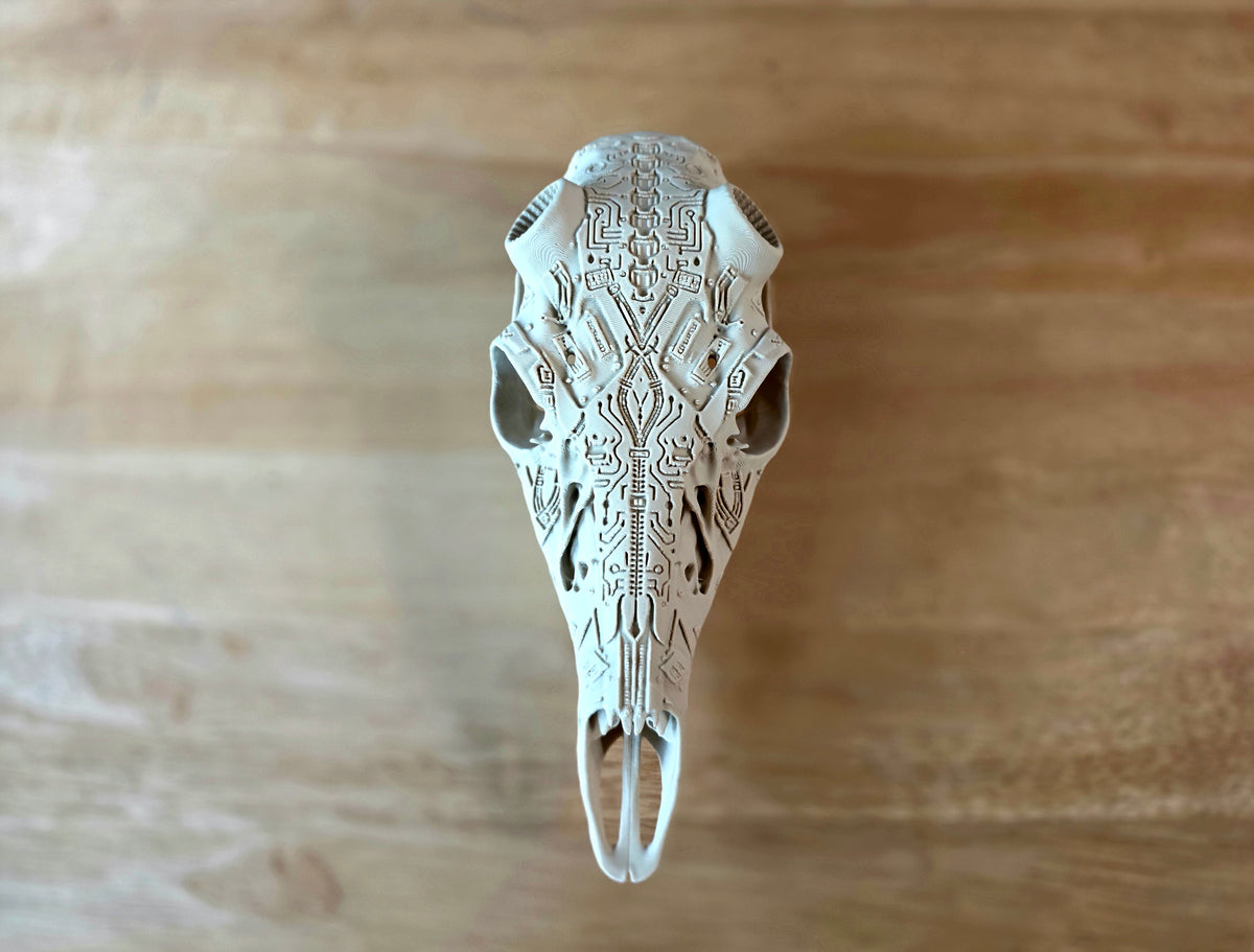 Cyborg European Skull