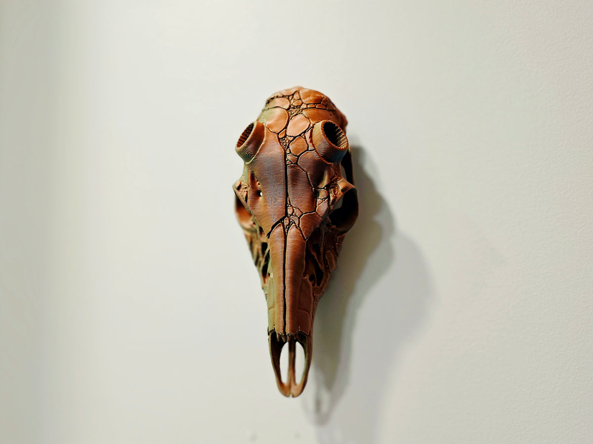 Deadhead European Skull