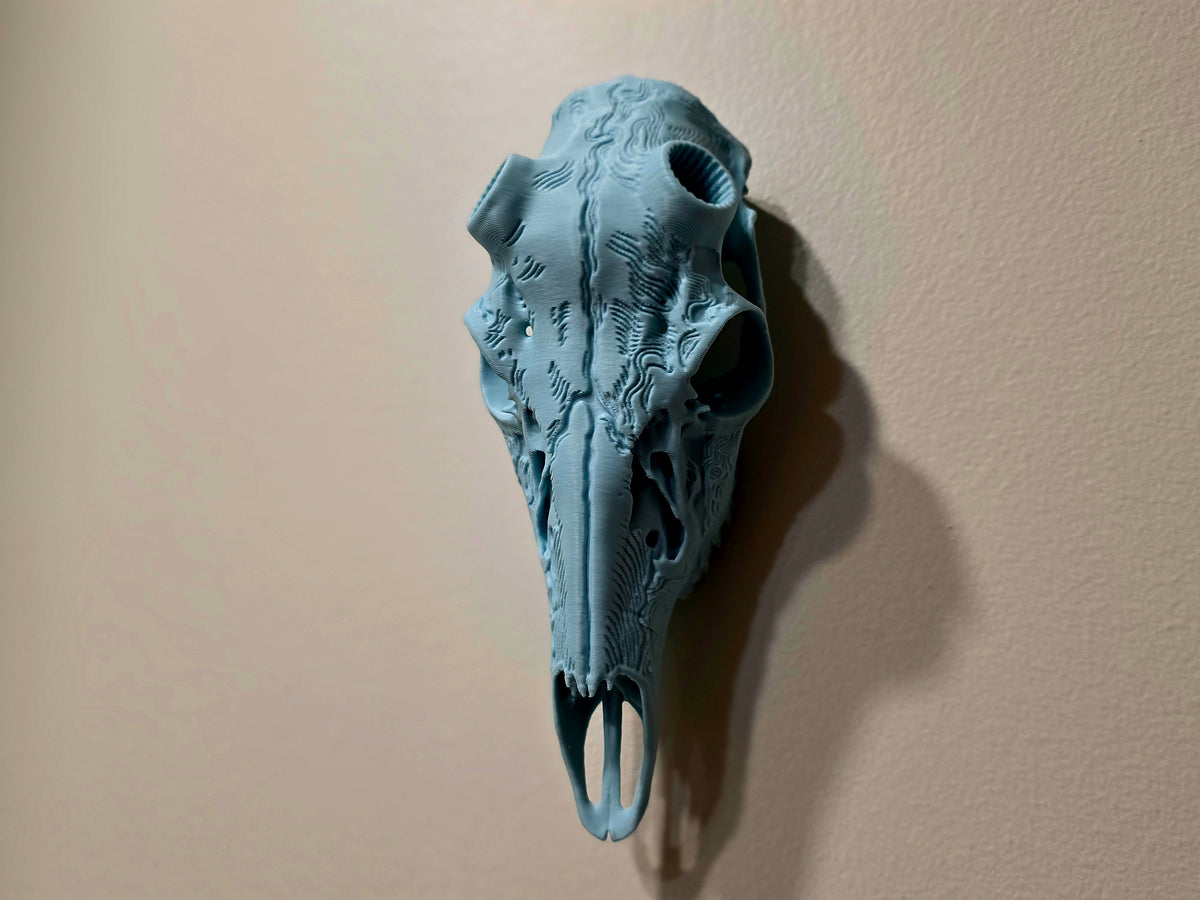 Comic European Skull